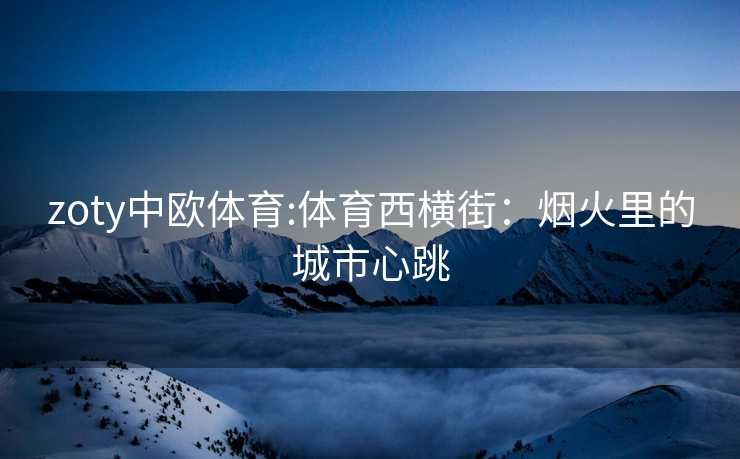 zoty中欧体育:体育西横街：烟火里的城市心跳